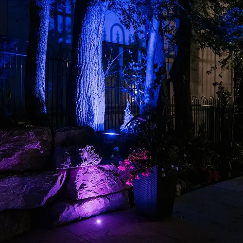 Night Light